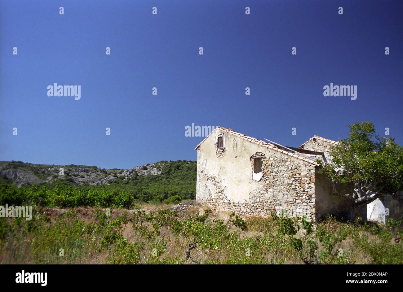 Weinbergen und einem Obdachlosen verlassenen Haus am Saint-Obre auf das Massif de la Clape, Narbonne-plage, Aude, Royal, Frankreich Stockfoto