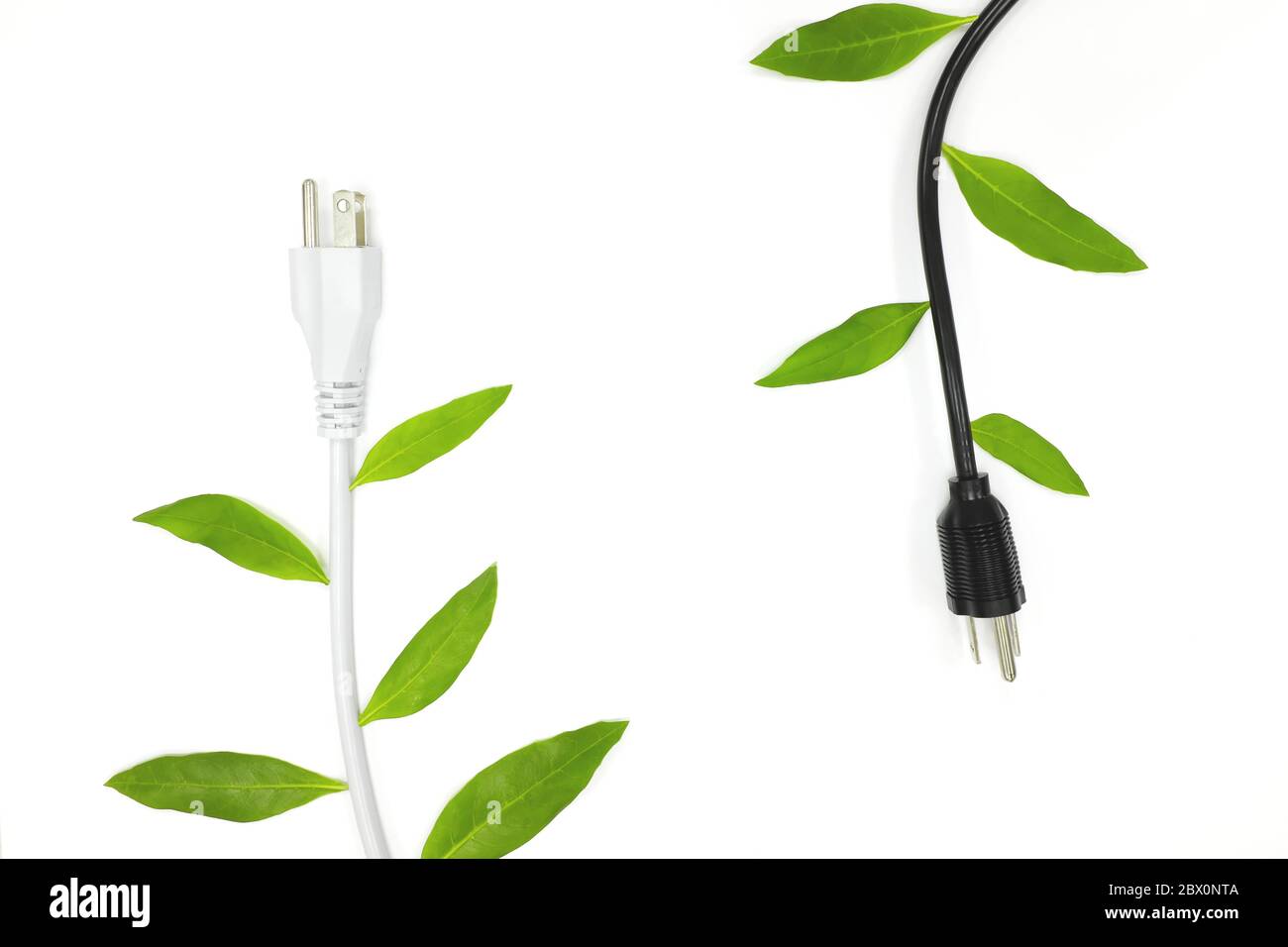 Grüne alternative Energie und Stromsparkonzept. Elektrischer Stecker mit grünen Blättern. Draufsicht, flaches Lay. Stockfoto