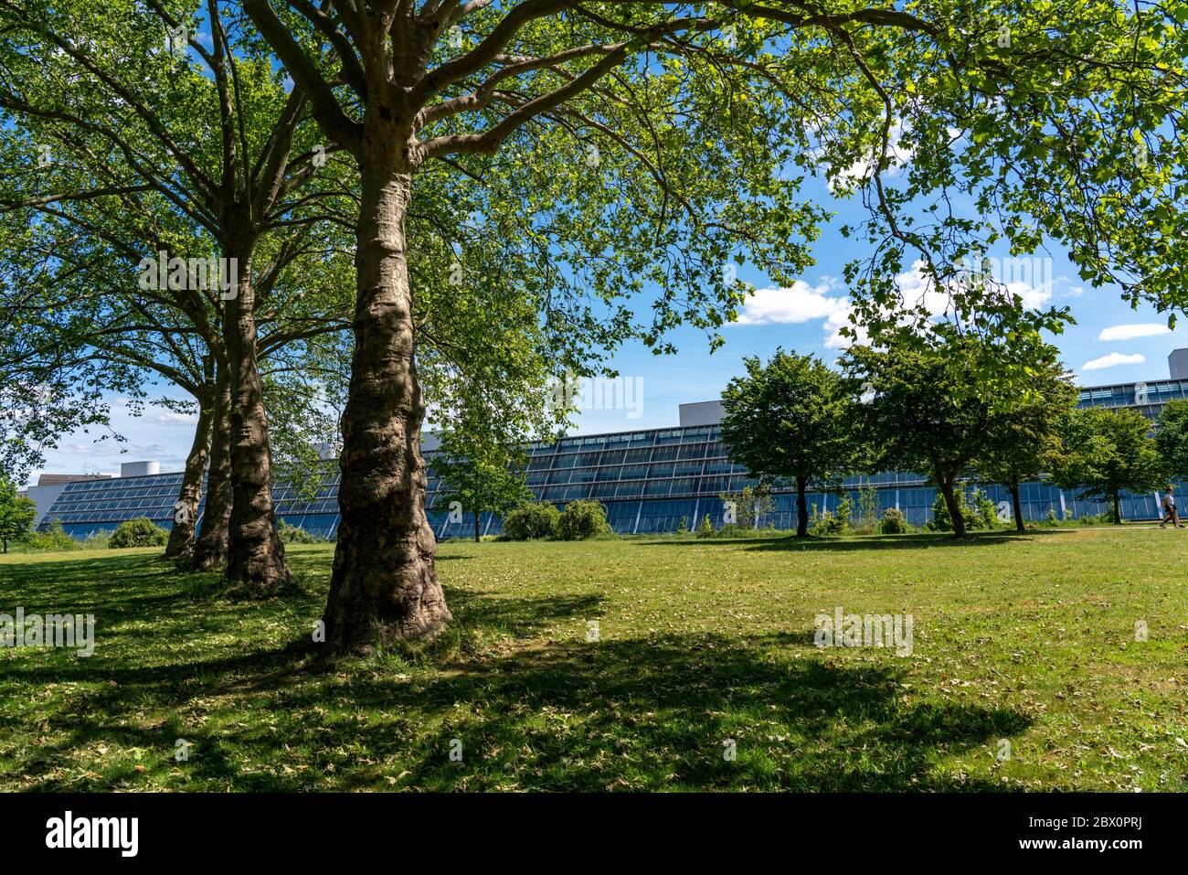 IBA-Projekt Wissenschaftspark Rheinelbe, 300 Meter lange Glashalle, Gelsenkirchen Stockfoto