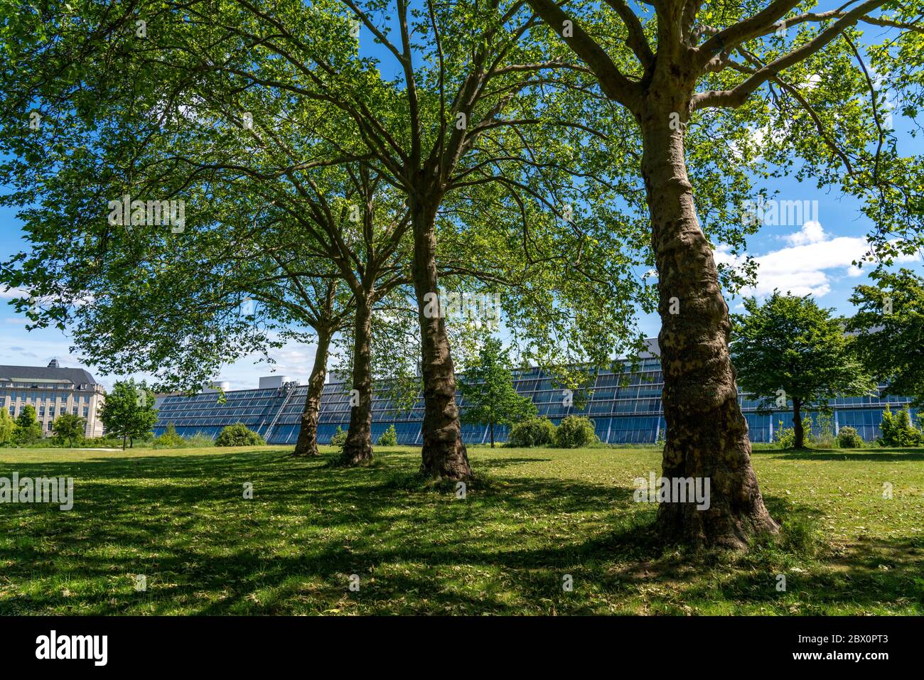 IBA-Projekt Wissenschaftspark Rheinelbe, 300 Meter lange Glashalle, Gelsenkirchen Stockfoto