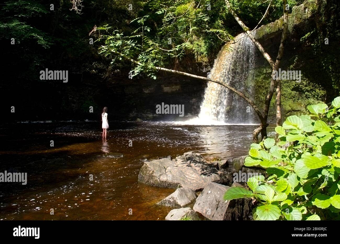 Sgwd Gwladys oder Lady Falls bei Pontneddfechan im Neath Valley, Südwales, Großbritannien Stockfoto