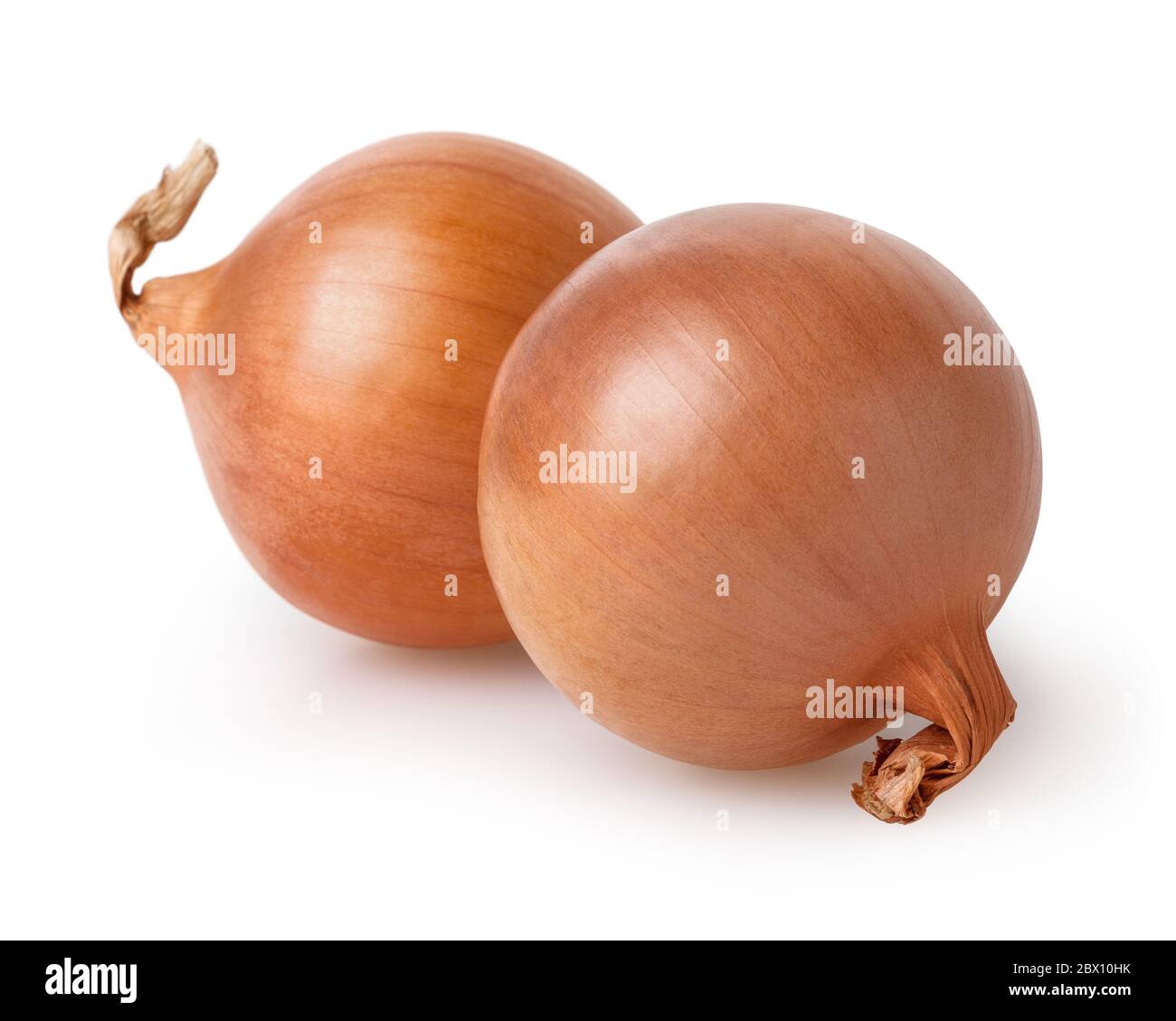 Zwiebel Zwiebeln auf weißem Hintergrund mit Freistellungspfad isoliert Stockfoto