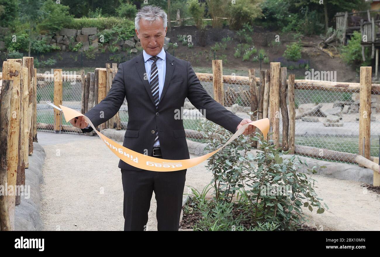 firo 04.06.2020 Bürgermeister Frank Baranowski, Portrait Bürgermeister der Stadt Gelsenkirchen Penguin Bay in der ZOOM Erlebniswelt, Tiere, Eröffnung der neuen Penguin Bay für Pinguine das Naturgebiet in der Erlebniswelt Afrika ist in ein Land und eine weitläufige gemeinsame Wasserzone unterteilt. 240 Quadratmeter Grovu ist der Pool, in dem die zwölf Vögel schwimmen und tauchen können. Eine Unterwasseransicht mit breiten Scheiben ermöglicht es den Besuchern, sie zu beobachten. An Land bieten Felsformationen Rückzugsmöglichkeiten, verschiedene Uferzonen sind vielfältig und ein Sandbereich erinnert an den Strand von Svºdafrikas. Afrikanisch Stockfoto