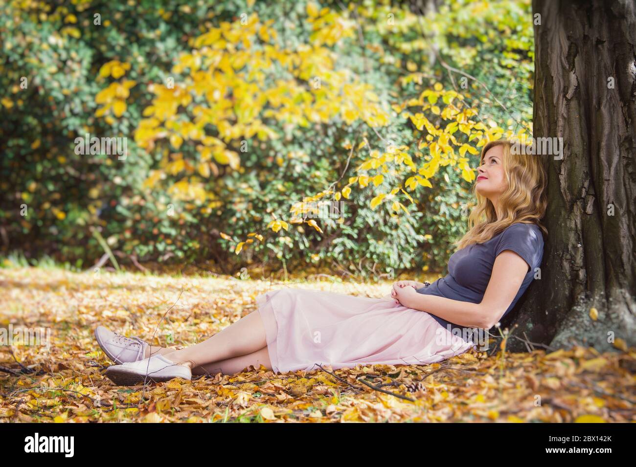 Junge Frau sitzt unter Baum im Herbst Stadtpark. Tagträumerstimmung Stockfoto