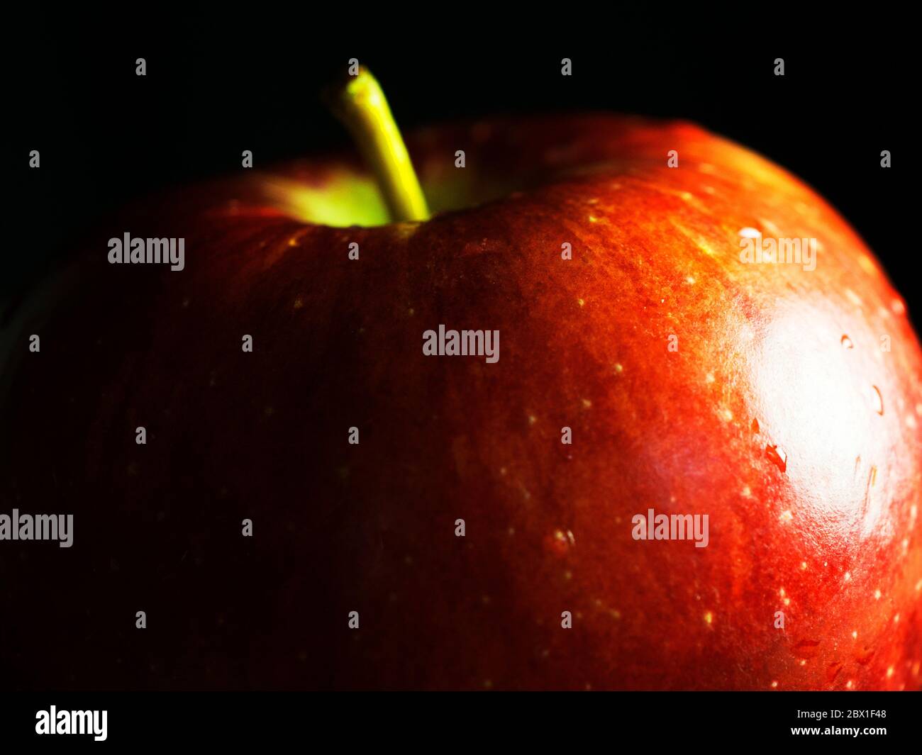 Nahaufnahme eines einzelnen Braeburn, der einen Apfel vor einem schwarzen Hintergrund isst Stockfoto