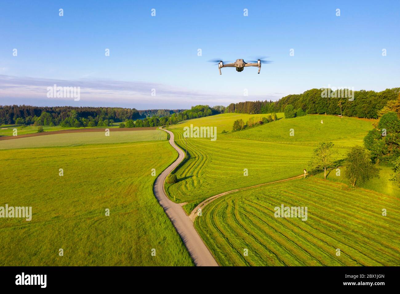 Flugdrohne DJI Mavic 2 Pro, kleine Straße durch Wiesenlandschaft, Dorfener Hoehe bei Icking, Tölzer Land, Drohnenschuss, Oberbayern, Bayern Stockfoto