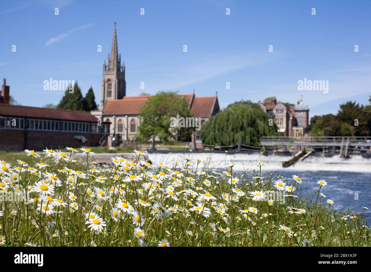 Ansichten von Marlow durch ein Daisenfeld in Buckinghamshire in Großbritannien Stockfoto