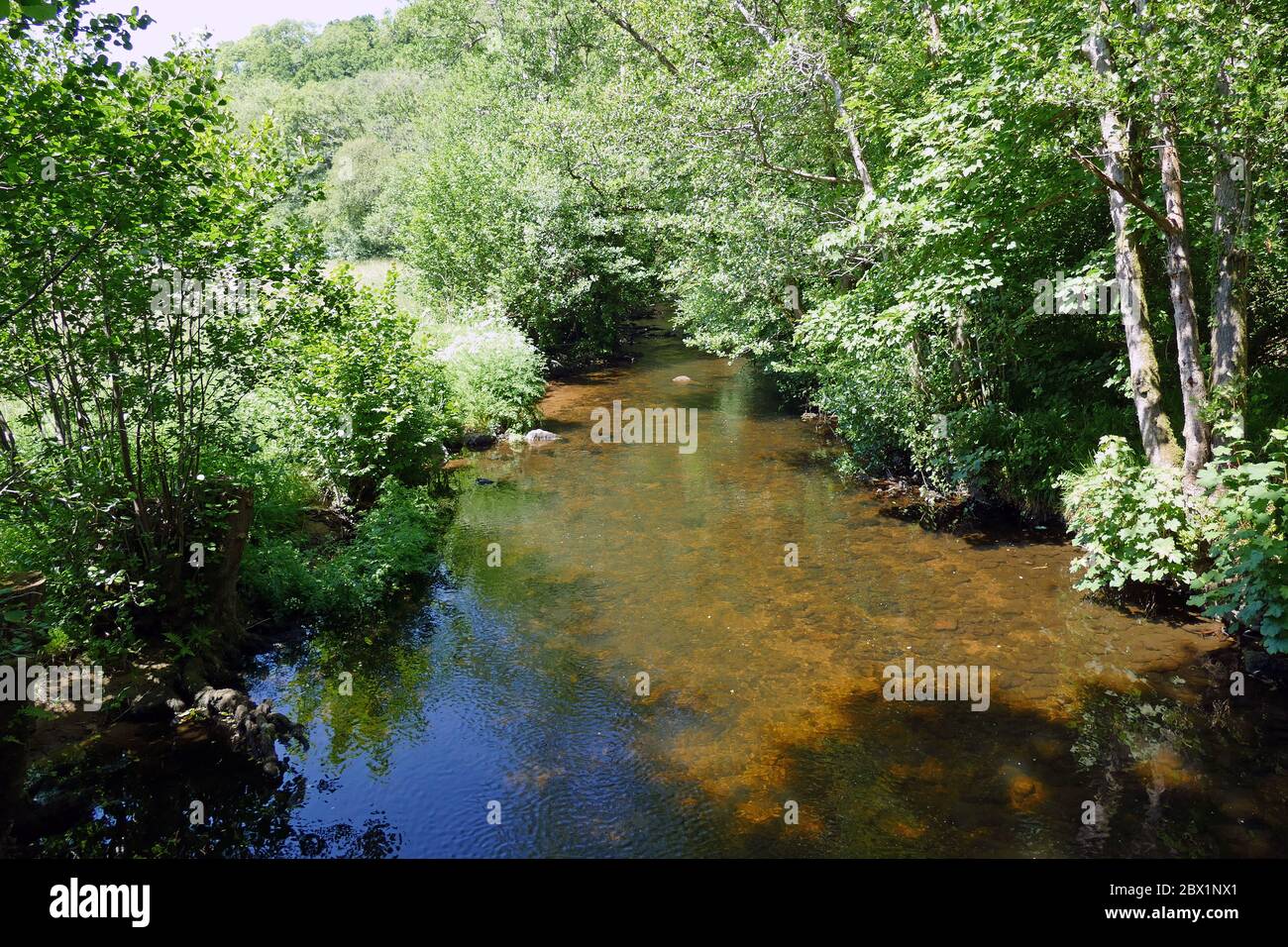 Parke, Bovey Tracey, Devon, Großbritannien Stockfoto