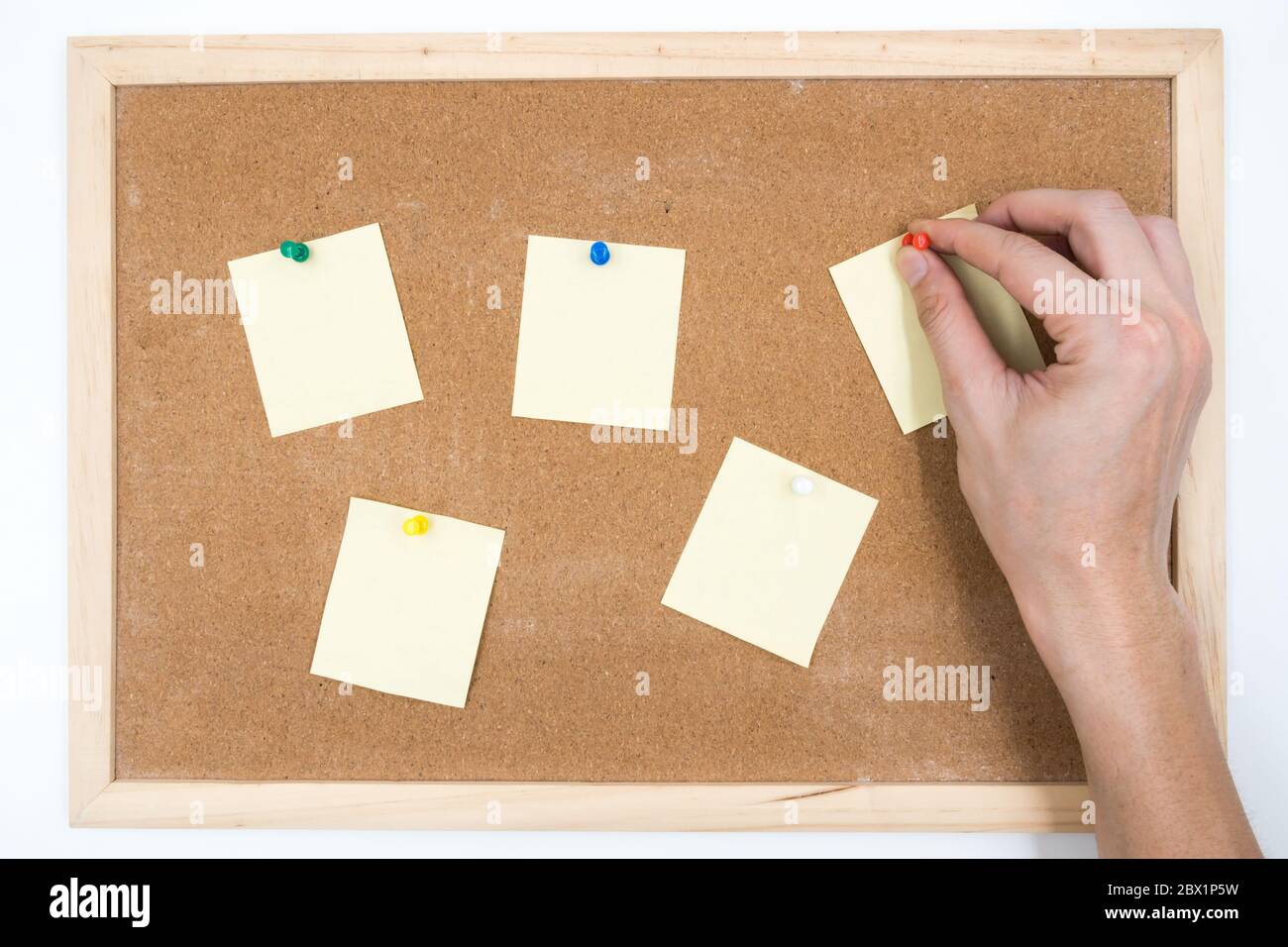 Leere Papiere stecken mit der Hand auf Korkplatte. Stockfoto