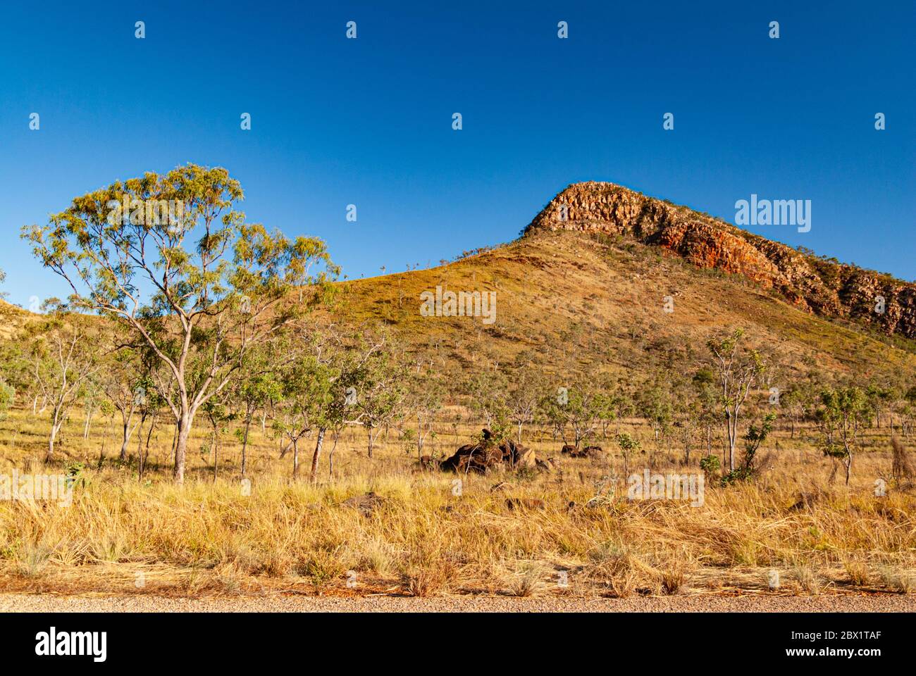 KING LEOPOLD RANGE, WUNAAAMILIWUNDI RANGE, KIMBERLEY REGION WESTERN AUSTRALIA, AUSTRALIEN Stockfoto