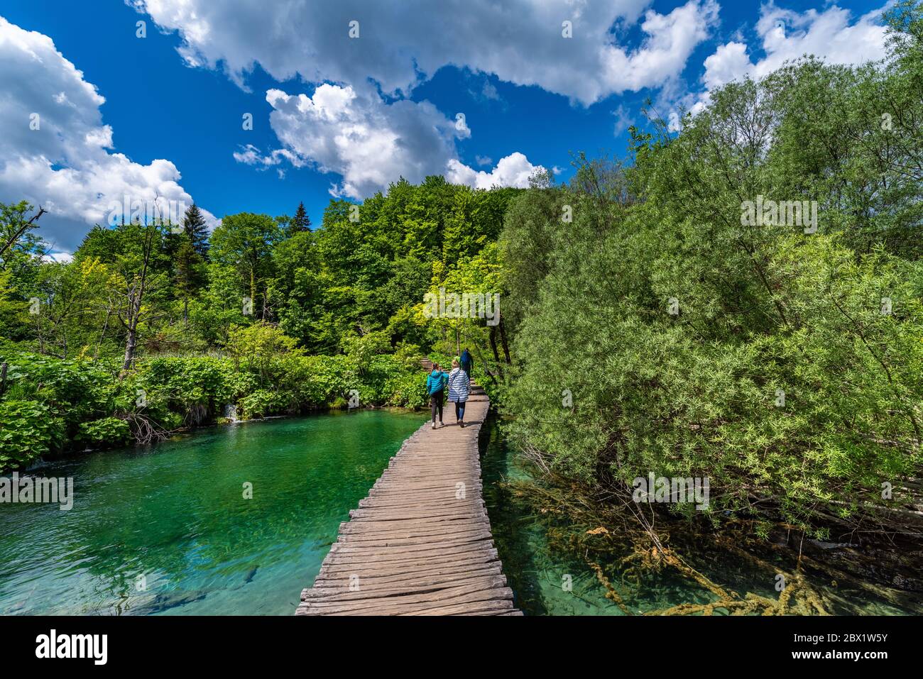 Nationalpark Plitvicer Seen, Kroatien Stockfoto