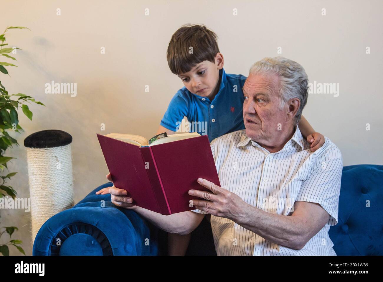 Großvater und Enkel lasen ein Buch, während sie auf dem Sofa saßen und sich entspannen Stockfoto