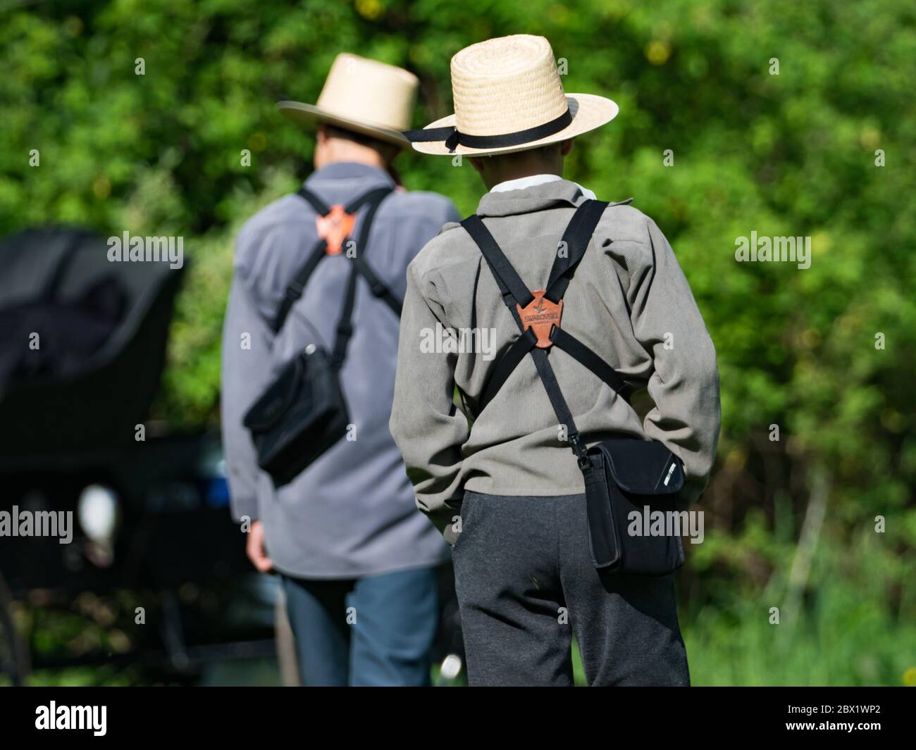 Amish Junge Vogelbeobachter tragen Swarovski Ferngläser im Wilderness Center, Wilmot Ohio Stockfoto
