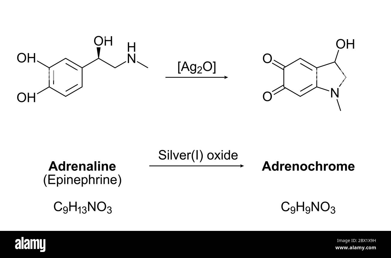 Synthese von Adrenochrome, chemische Gleichung. Oxidation von Adrenalin (Adrenalin) durch Silber(i)-Oxid. Moleküle, Skelettformeln und Strukturen. Stockfoto