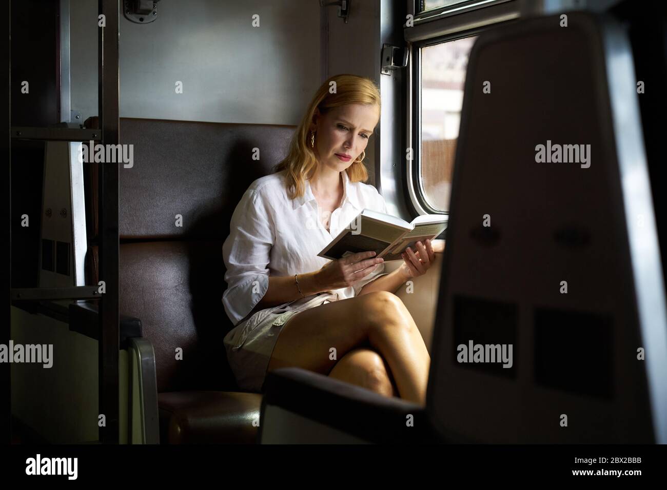 Eine Frau, die ein Buch im Zug liest Stockfoto