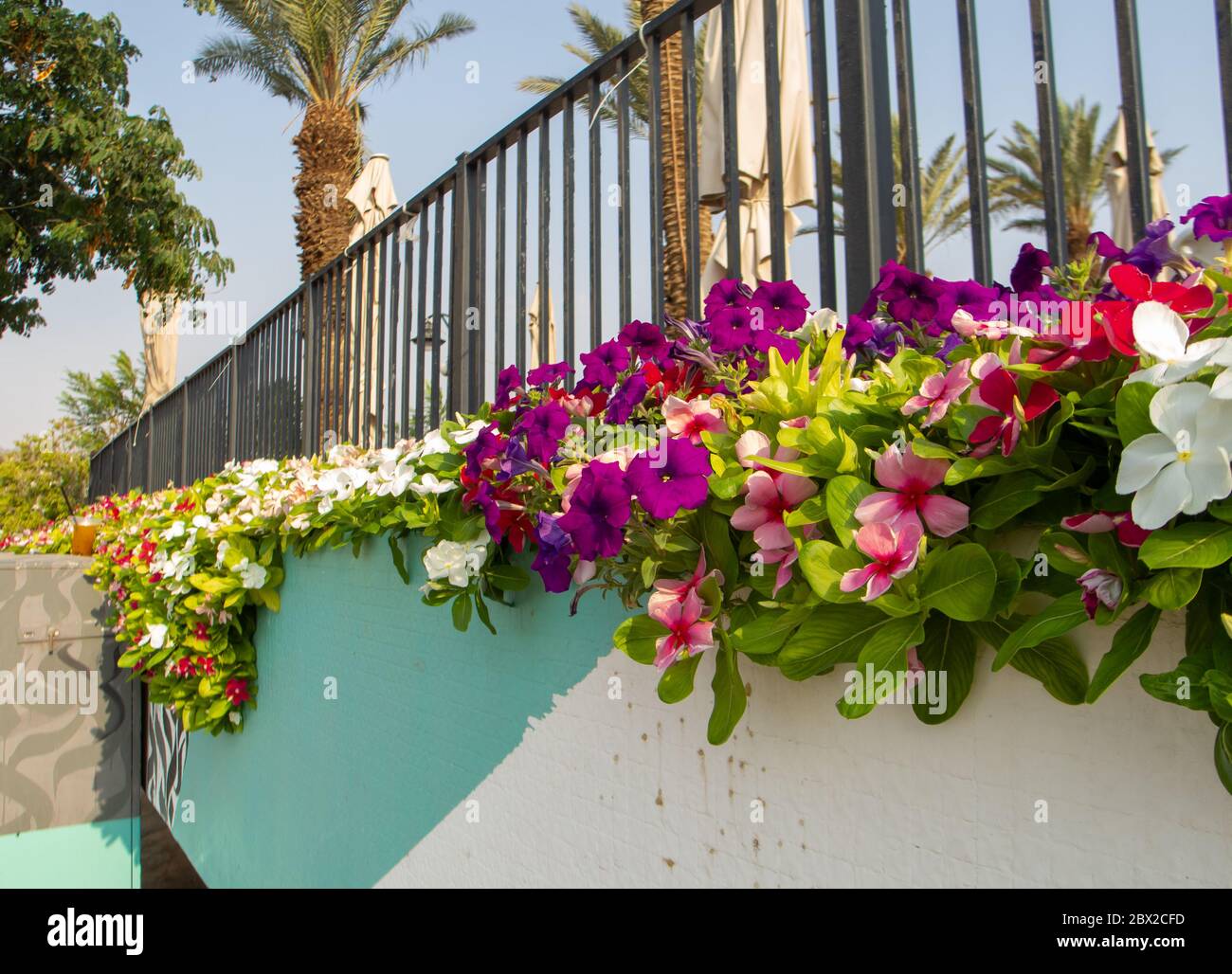 Blumen am zaun Fotos und Bildmaterial in hoher Auflösung Alamy