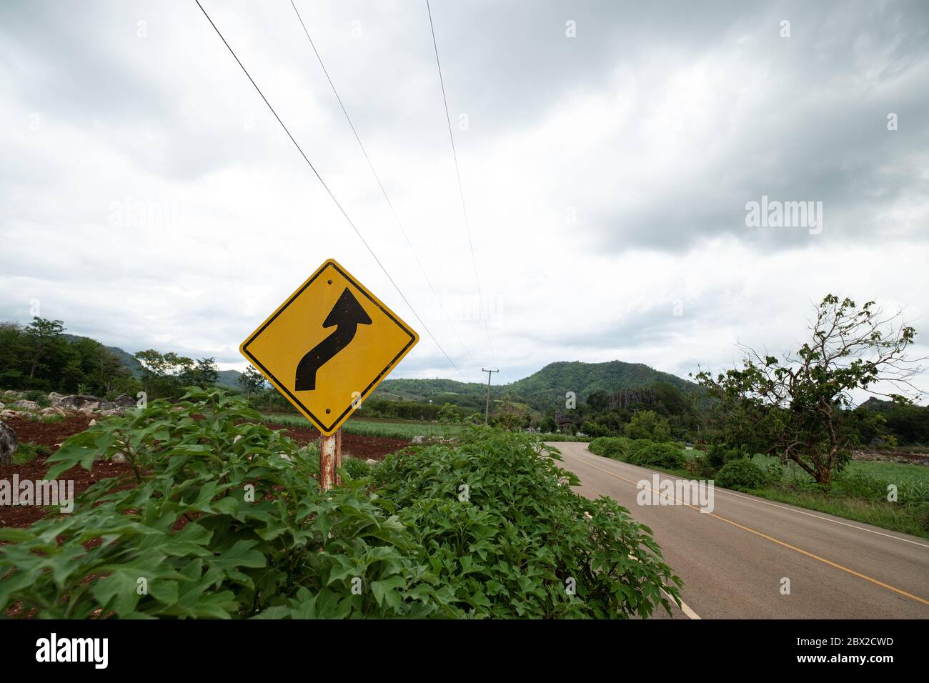 Gelbe Verkehrsschilder warnen vor kurvenreichen Straßen vor grünem Gras im Hintergrund Stockfoto