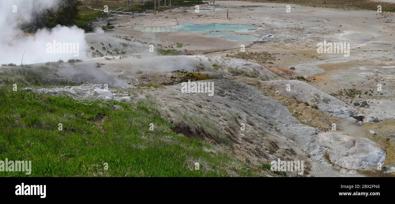Frühling im Yellowstone National Park: Black Growler Steam Vent, Lewis Mud Pots & Ledge Geysir im Porcelain Basin Bereich des Norris Geyser Basin Stockfoto
