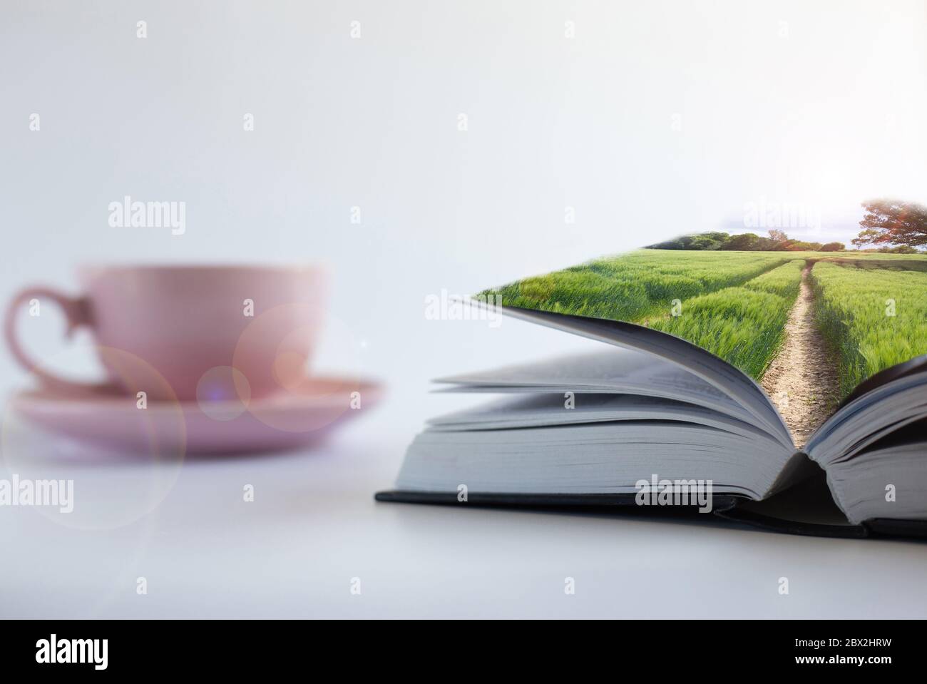 Collage von Fotos von grünen ländlichen Landschaft mit Licht aus Objektiv Flare auf Soft-Fokus offenes Buch, Tasse Tee Kaffee auf weißem Hintergrund. Buch ist Macht, Quelle des Wissens, Traum, Zugang zu Weisheitskonzept Stockfoto