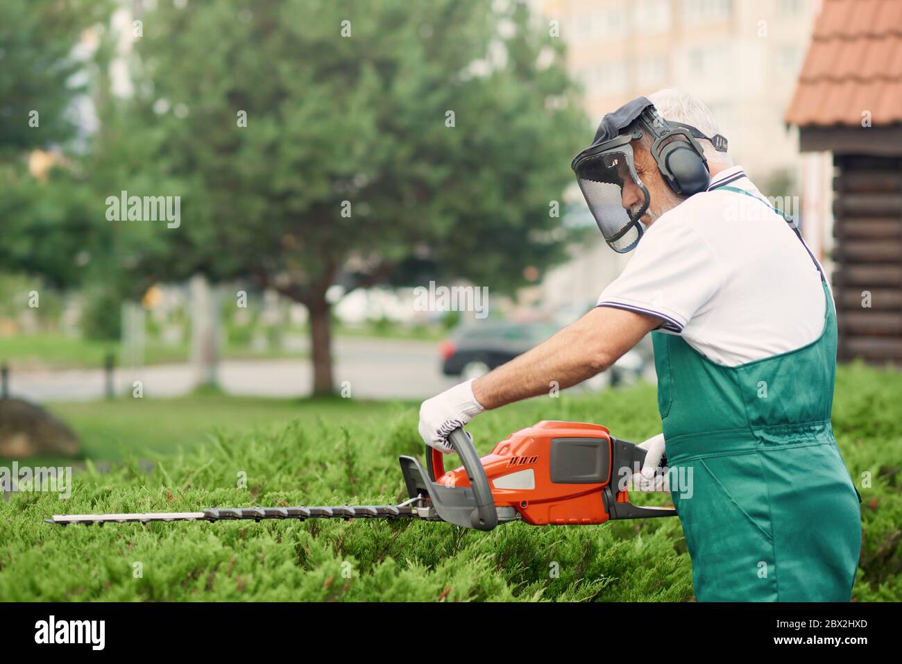 Senior Mann Landschaftsbau und Pflege von Pflanzen. Seitenansicht eines elderigen Arbeiters mit Uniform, Ohren- und Gesichtsverteidigern, der mit der elektrischen Schneidemaschine oben auf überwuchert Büschen schneidet. Gardeninf-Konzept. Stockfoto