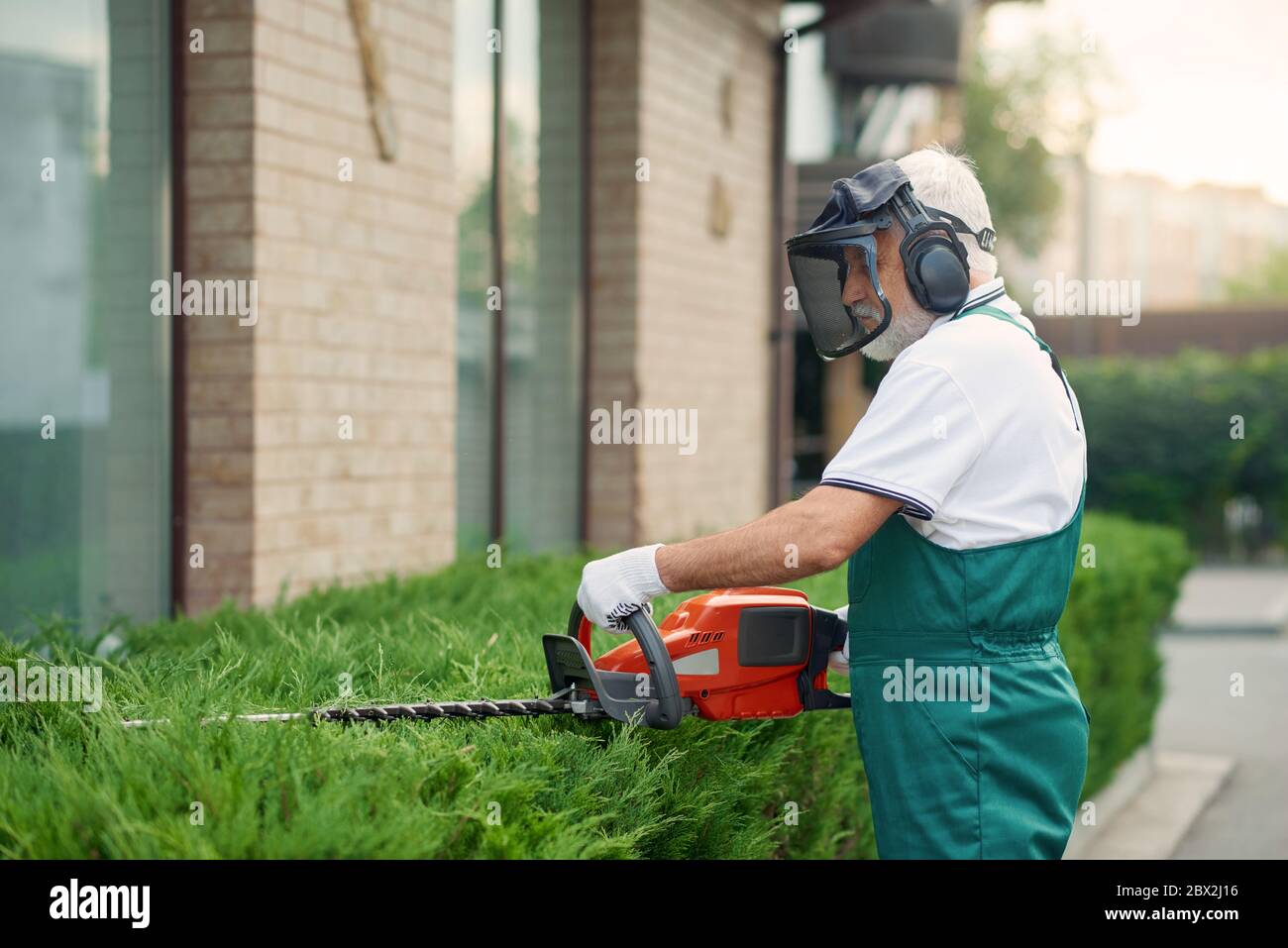 Senior Mann Landschaftsbau und Pflege von Pflanzen. Seitenansicht eines elderigen Arbeiters mit Uniform, Ohren- und Gesichtsverteidigern, der mit der elektrischen Schneidemaschine oben auf überwuchert Büschen schneidet. Gardeninf-Konzept. Stockfoto