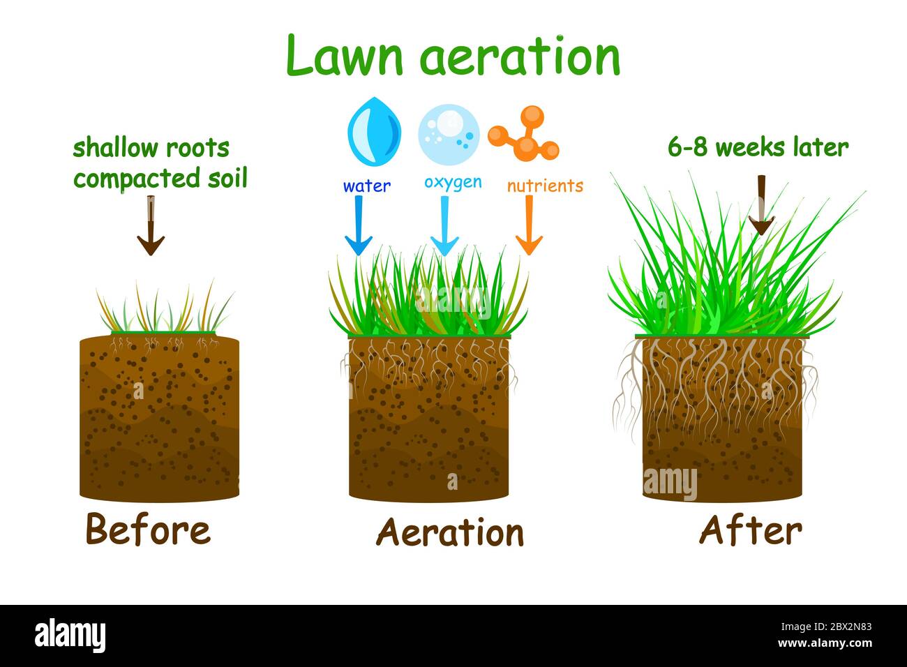 Abbildung der Rasen-Belüftungsstufe. Infografiken vor und nach der Belüftung. Gartengras-Rasenpflege, Landschaftsbau, Rasenpflege. Vektor Stock Vektor