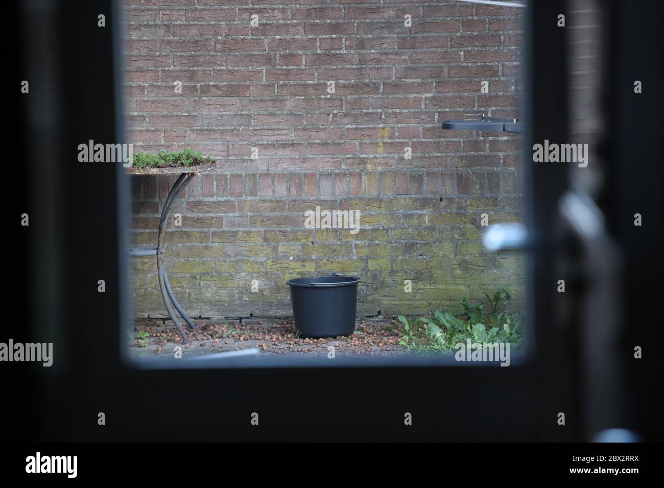 Sie brauchen mehr Eimer, wenn Sie Haselnuss mit einer passiven Haltung in einer Entfernung zu fangen wollen. Wenn Sie nicht aktiv sind, bleibt der Bucket leer. Stockfoto