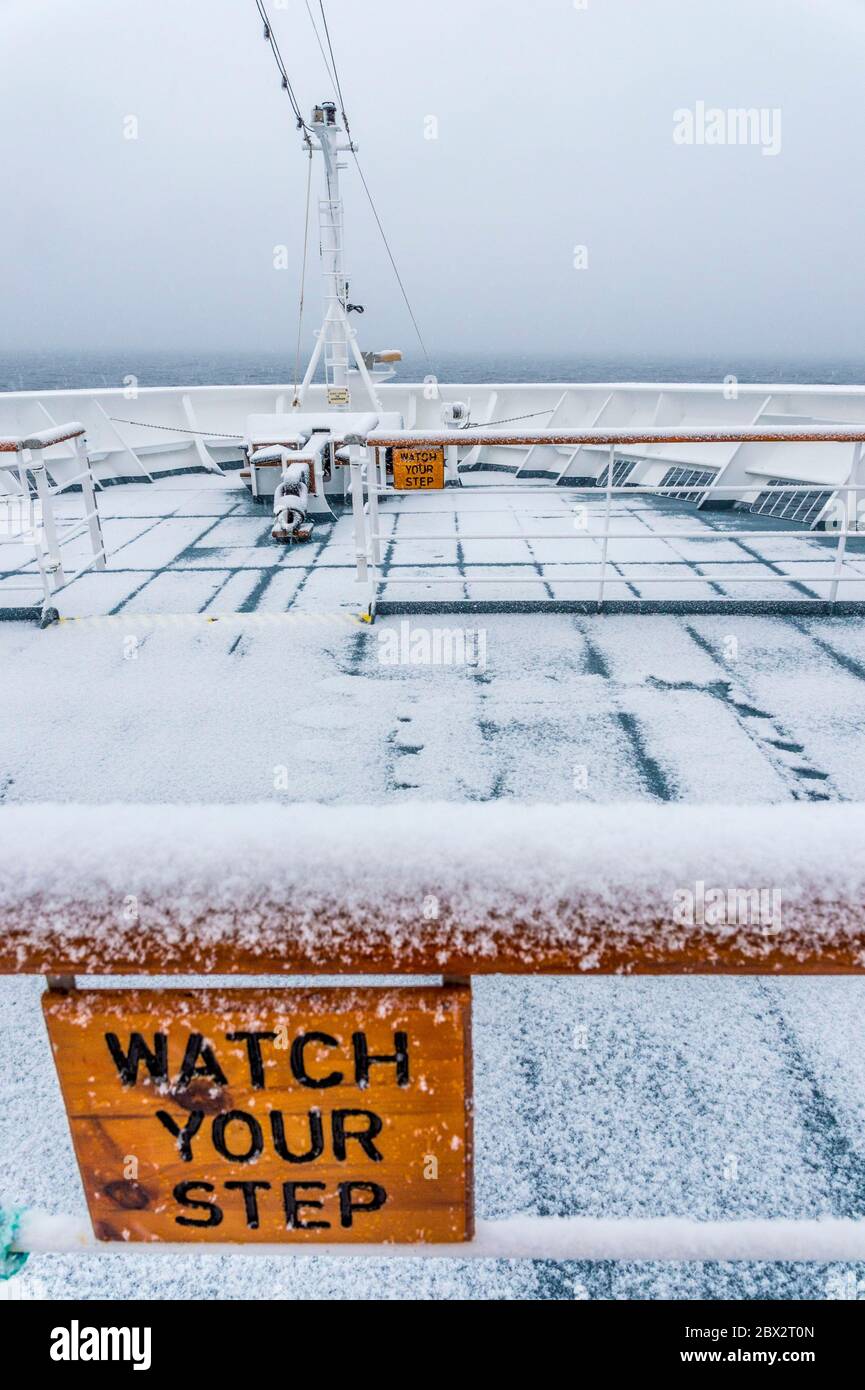 Antarktis, Südmeer, Archipel der Südshetlandinseln, Schneemangel bei den Neptunschmieden, dem einzigen Einstiegspunkt in die eingestürzte Caldera von Deception Island, dem Bug des Polarkreuzfahrtschiffes MS Fram der norwegischen Firma Hurtigruten Stockfoto