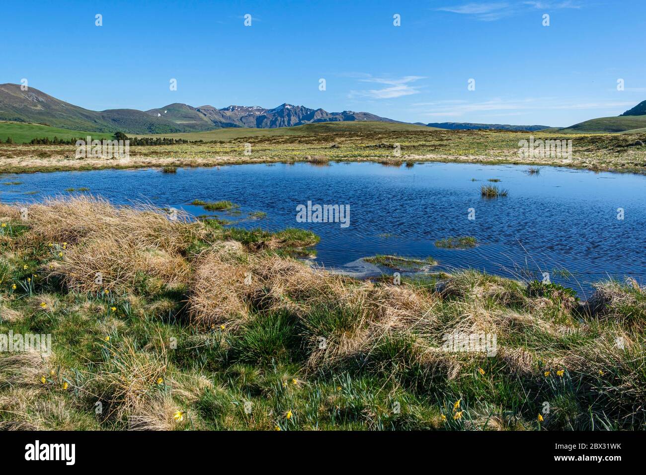 Frankreich, Puy de Dome, Parc Naturel Regional des Volcans d'Auvergne (regionaler Naturpark der Vulkane der Auvergne), Massif des Monts Dore, Puy du Sancy Mountain Stockfoto