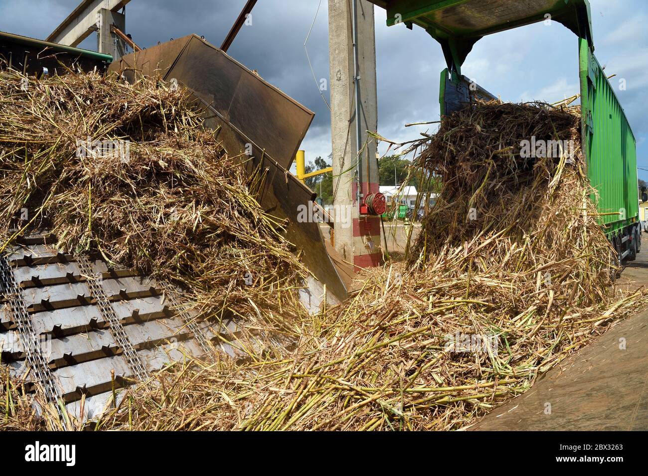 Frankreich, Réunion Island (Französisch Übersee-Department), Saint-Louis, Le Gol Zuckerfabrik, Entladen des Zuckerrohres von Lastwagen oder Anhänger genannt localy cachalot Stockfoto