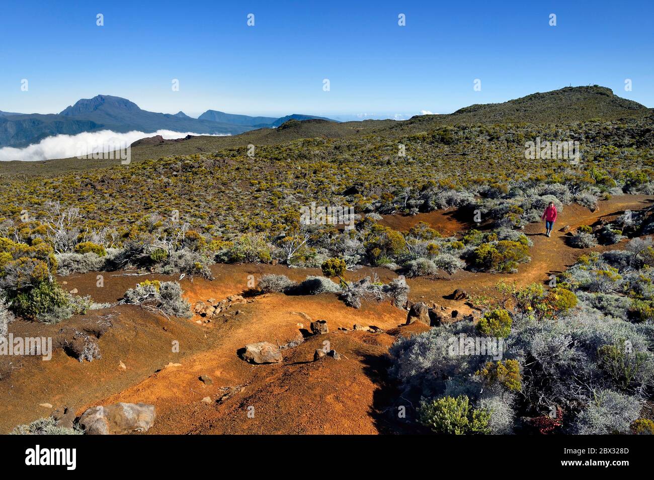 Frankreich, Réunion (französisches Überseedepartement), Reunion Nationalpark, der von der UNESCO zum Weltkulturerbe erklärt wurde, an den Hängen des Vulkans Piton de la Fournaise, Wanderer auf dem Ste Therese Oratorialweg, der mit Lapilli bedeckt ist, über der Plaine des Sables, im Hintergrund im Norden der Piton des Neiges Stockfoto