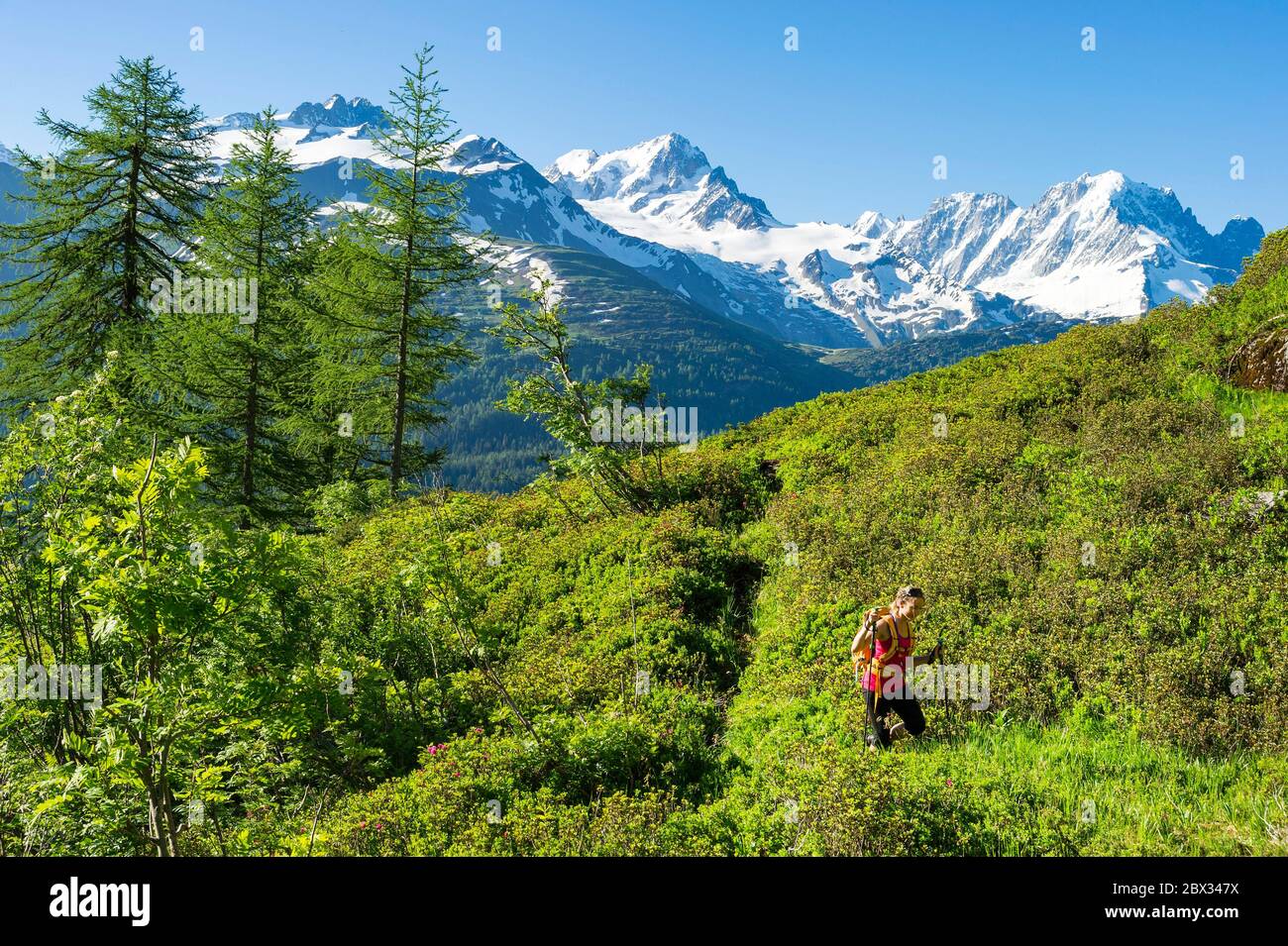 Frankreich, Haute-Savoie (74), Mont Blanc Massiv, Vallorcine, Wanderer auf dem Weg zum Col du Passet (1950m), mit der Aiguille de Chardonnet (3824m) auf der linken Seite, die Aiguille Verte (4122m) und Les Drus (3754m) auf der rechten Seite Stockfoto
