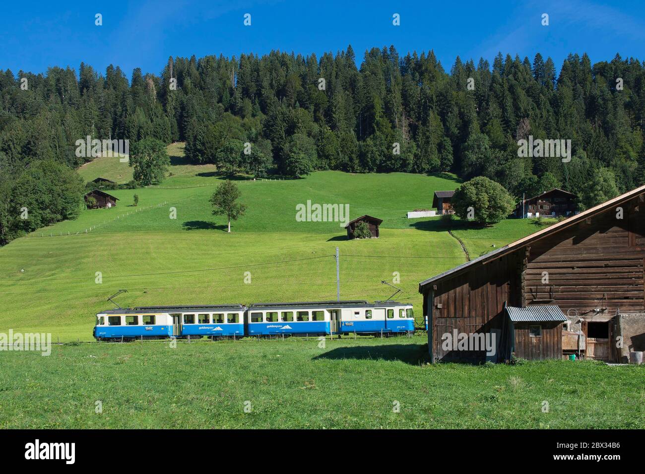 Schweiz, Kanton Waadt, Land Enhaut, Goldenpass-Zug, Passage in den Wiesen von Chateau d'Oex, Stockfoto