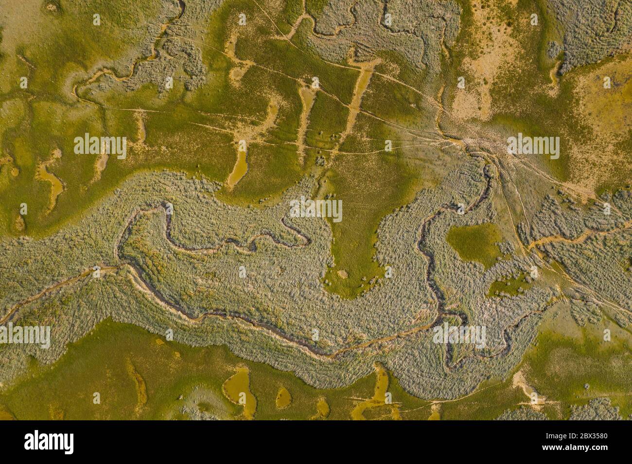 Frankreich, Somme (80), Baie de Somme, Le Crotoy, Salzwiesen in Baie de Somme (Luftaufnahme), Kanäle und Vegetation in verschiedenen Schattierungen schaffen abstrakte Mini-Landschaften Stockfoto