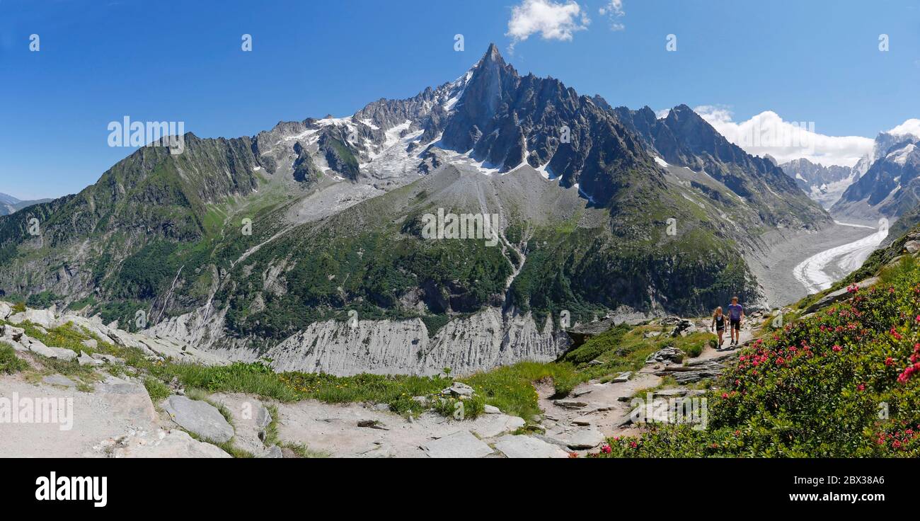 Frankreich, Haute Savoie, Chamonix-Mont-Blanc, Mont Blanc Massiv, Wanderung auf Le Montenvers durch den Chemin du Signal, mit Blick auf die Grandes Jorasses, Les drus Stockfoto