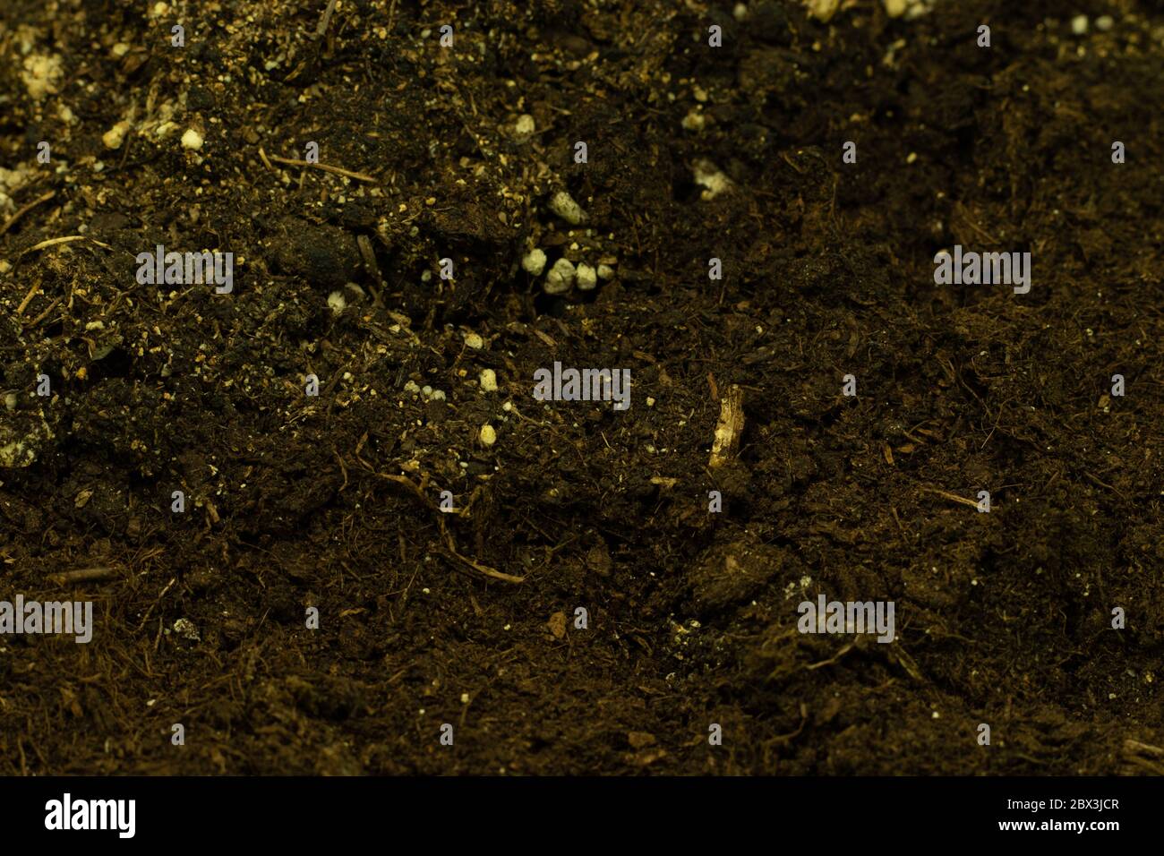 Dunkler Boden. Substrat für wachsende Pflanzen. Hintergrund Kopierraum. Stockfoto