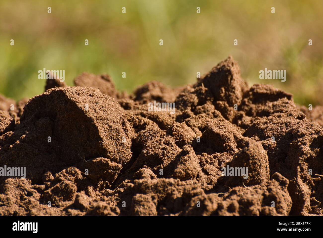 Feucht Fruchtbarer Sandboden Schmutz Heap Stockfoto