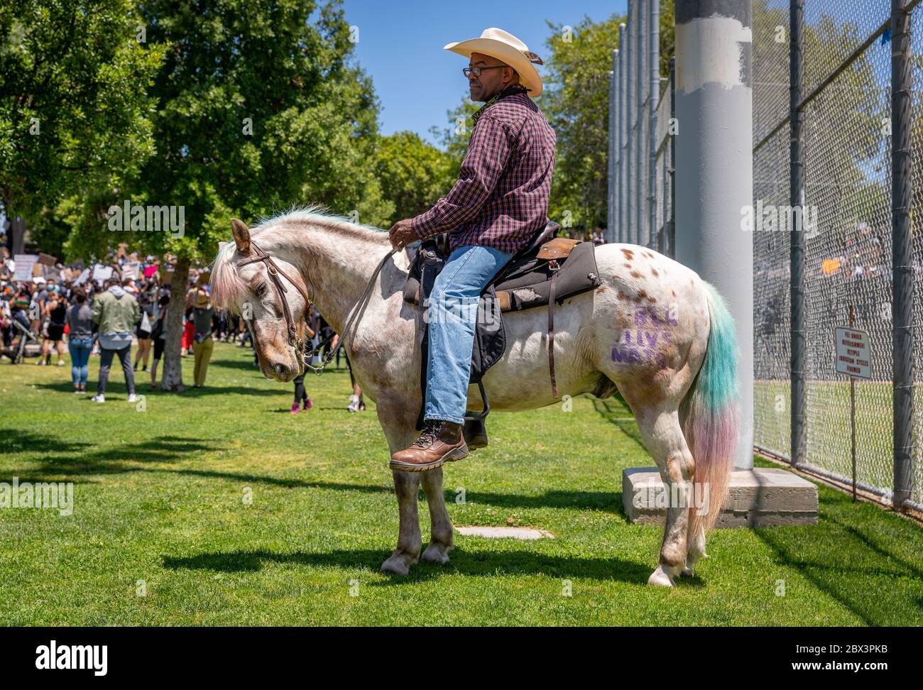 Mann, der auf einer Demonstration zu Ehren von George Floyd im Pan Pacific Park im Fairfax-Viertel von Los Angeles, Kalifornien, reitet. Stockfoto