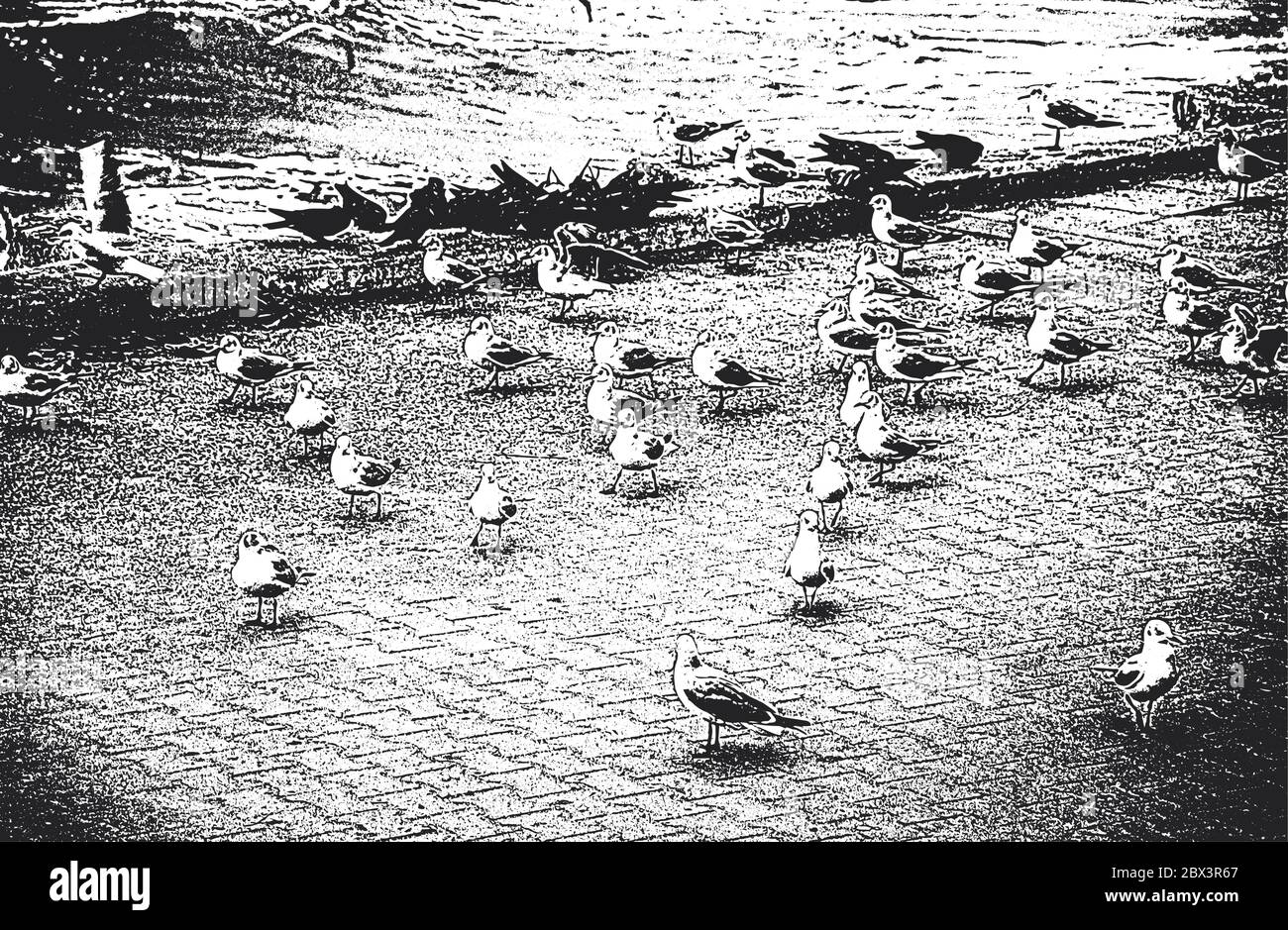 Möwen am Strand. Vintage Hand gezeichnet Vektor Illustration. Grunge Hintergrund. Stock Vektor