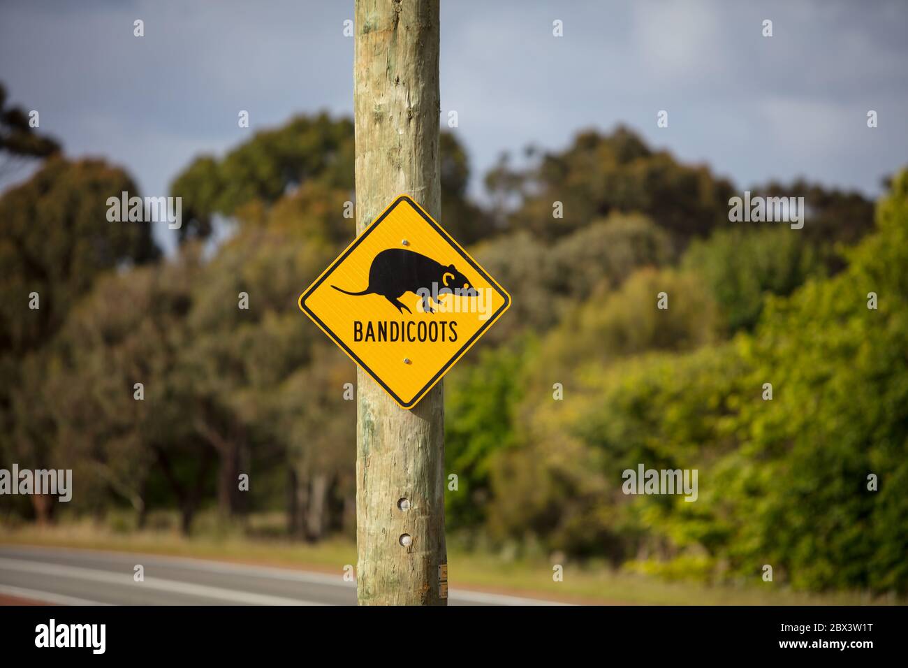Albany Western Australia 11. November 2019 : Nahaufnahme der gelben Warnschilder am Straßenrand, die Autofahrer auf das Vorhandensein von Bandicoots in der aufmerksam machen Stockfoto