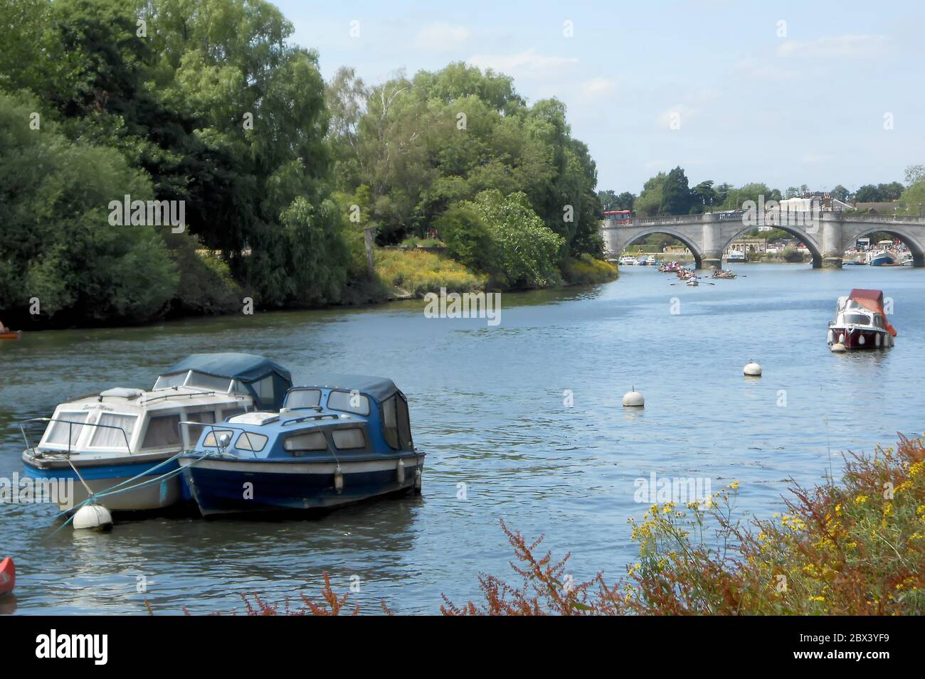 Boote, die auf dem Fluss in Richmond-upon-Thames, Großbritannien, festgemacht sind Stockfoto