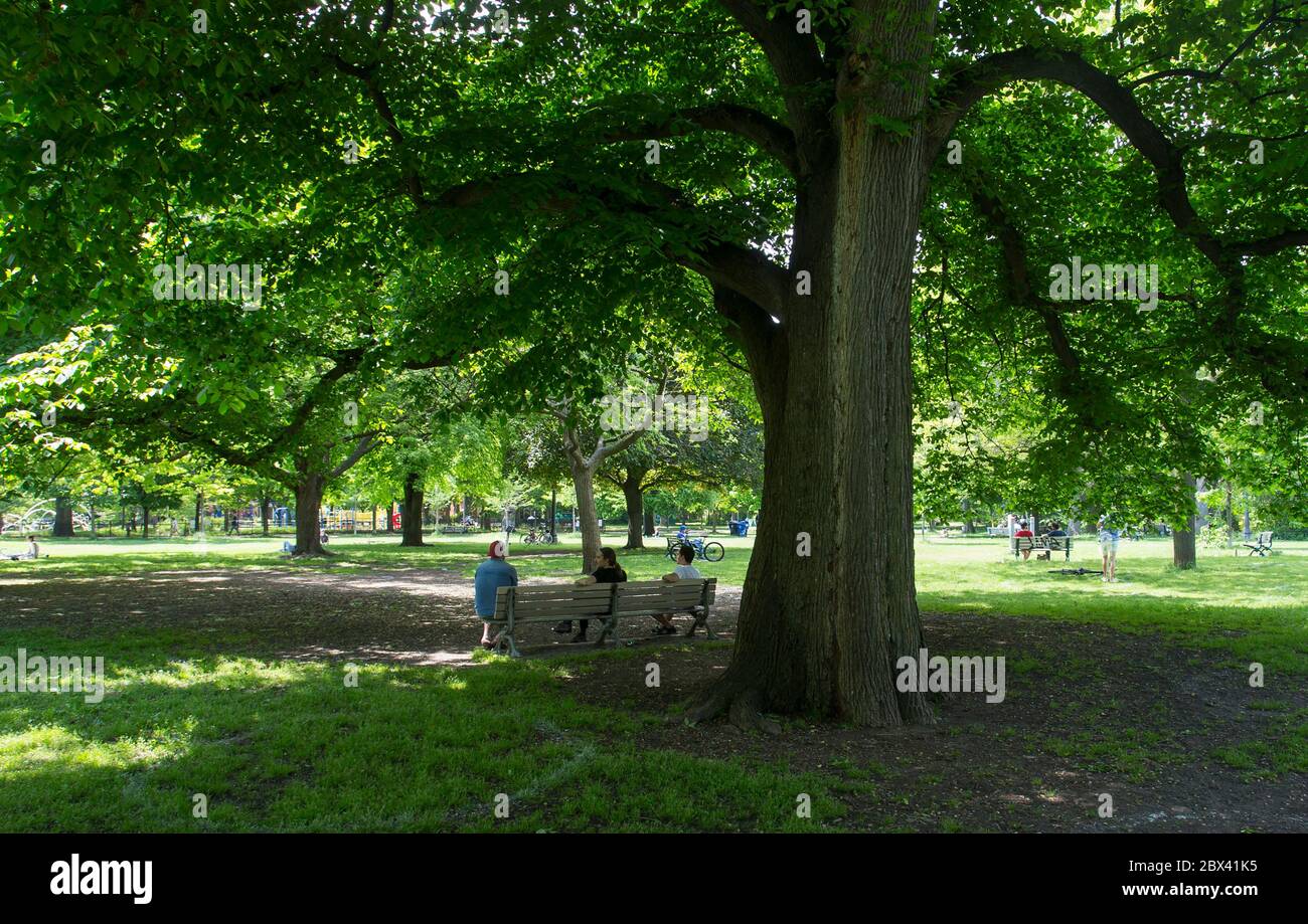 Toronto, Kanada. Juni 2020. Am 4. Juni 2020 üben Menschen im Trinity Bellwoods Park in Toronto, Kanada, soziale Distanzierung. Der kanadische Premierminister Justin Trudeau warnte am Donnerstag, dass die COVID-19-Pandemie in Kanada weiterhin ernst ist. Kredit: Zou Zheng/Xinhua/Alamy Live News Stockfoto