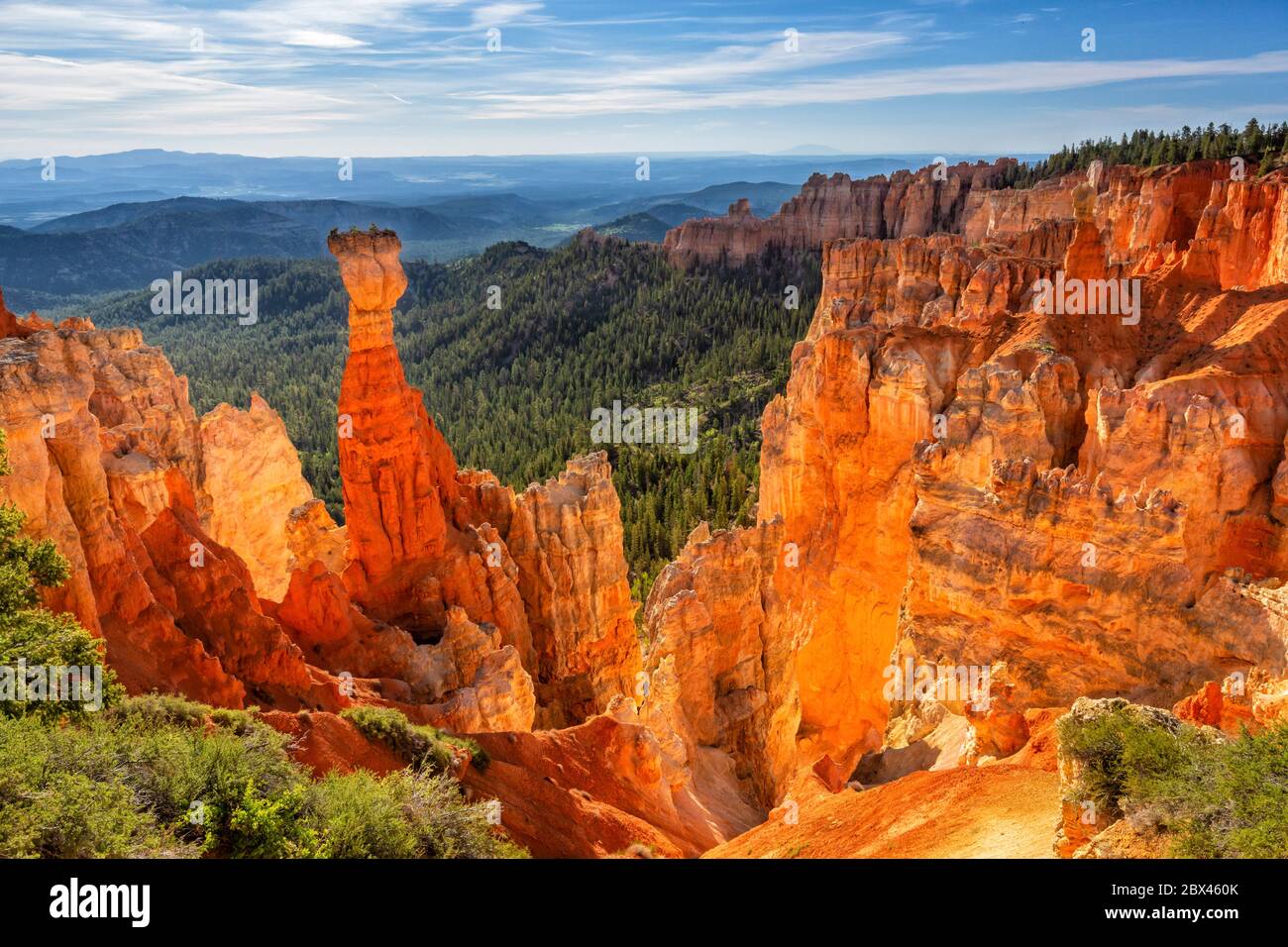 Der Hunter Hoodoo wird von frühmorgendlichen Sprunglicht im Agua Canyon im Bryce Canyon National Park, Utah, beleuchtet. Stockfoto