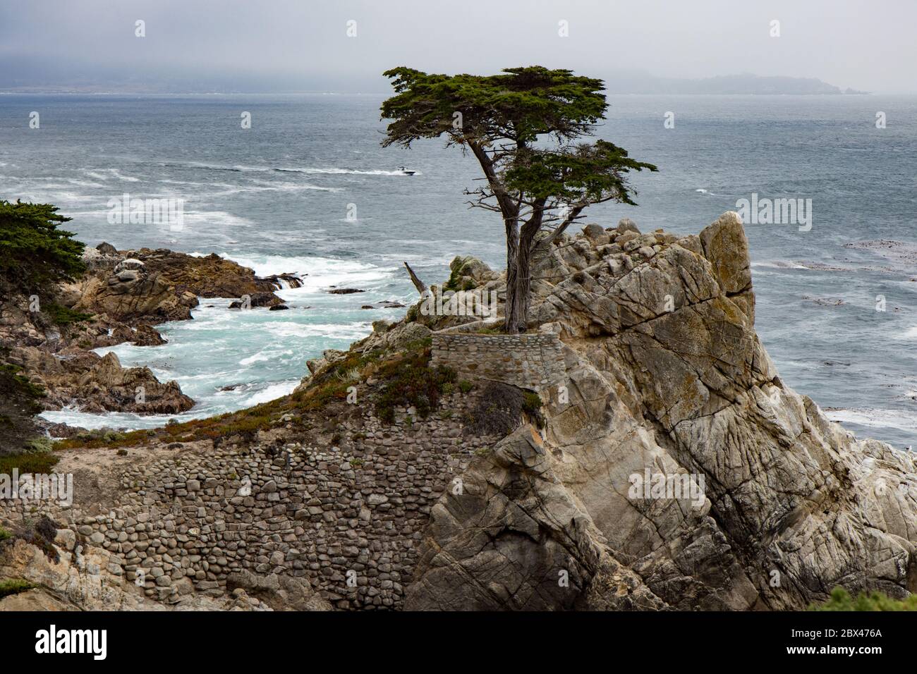 Lone Cypress mit Blick auf den Pazifik entlang der 17-Meilen-Fahrt, in Carmel, Kalifornien Stockfoto