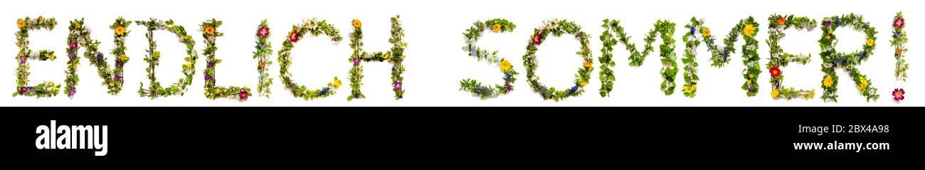 Blume Und Blüte Buchstabenbildung Wort Endlisch Sommer Bedeutet Endlich Sommer Stockfoto