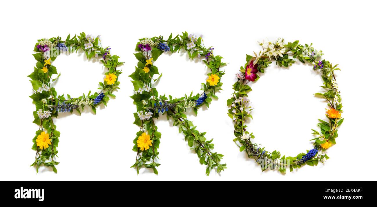 Blumen- Und Blütenbrief Building Word Pro Stockfoto