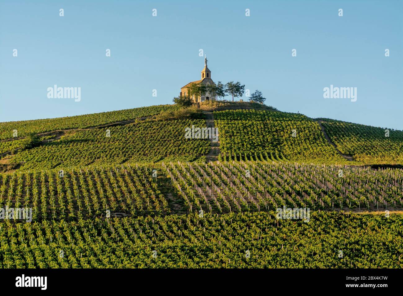 Die Kapelle La Madone Fleurie Dorf, Beaujolais Weinberg, Departement Rhône Region Auvergne-Rhône-Alpes, Frankreich, Europa Stockfoto