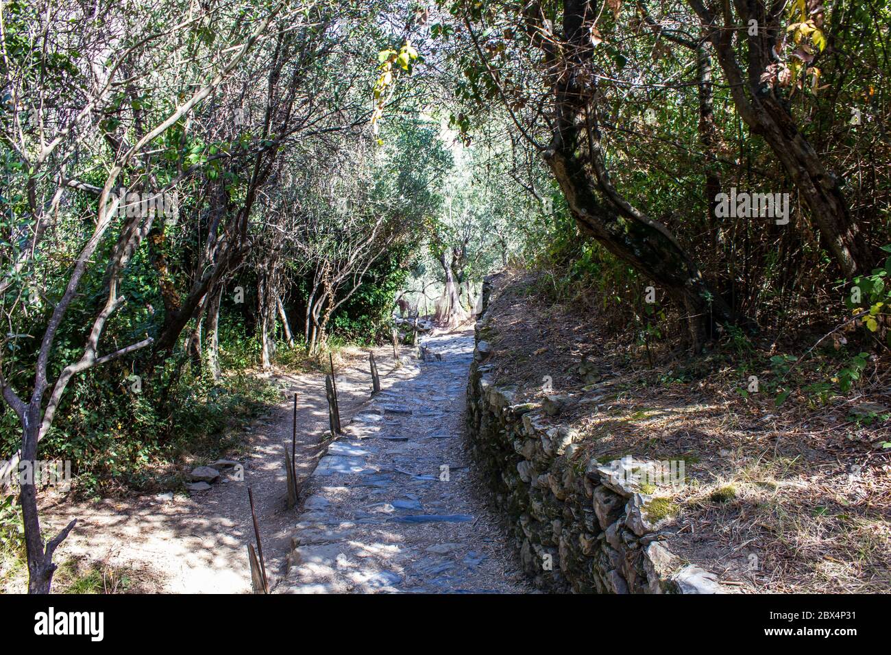 Blick auf den Wanderweg von Corniglia nach Vernazza, Cinque Terre, Italien Stockfoto