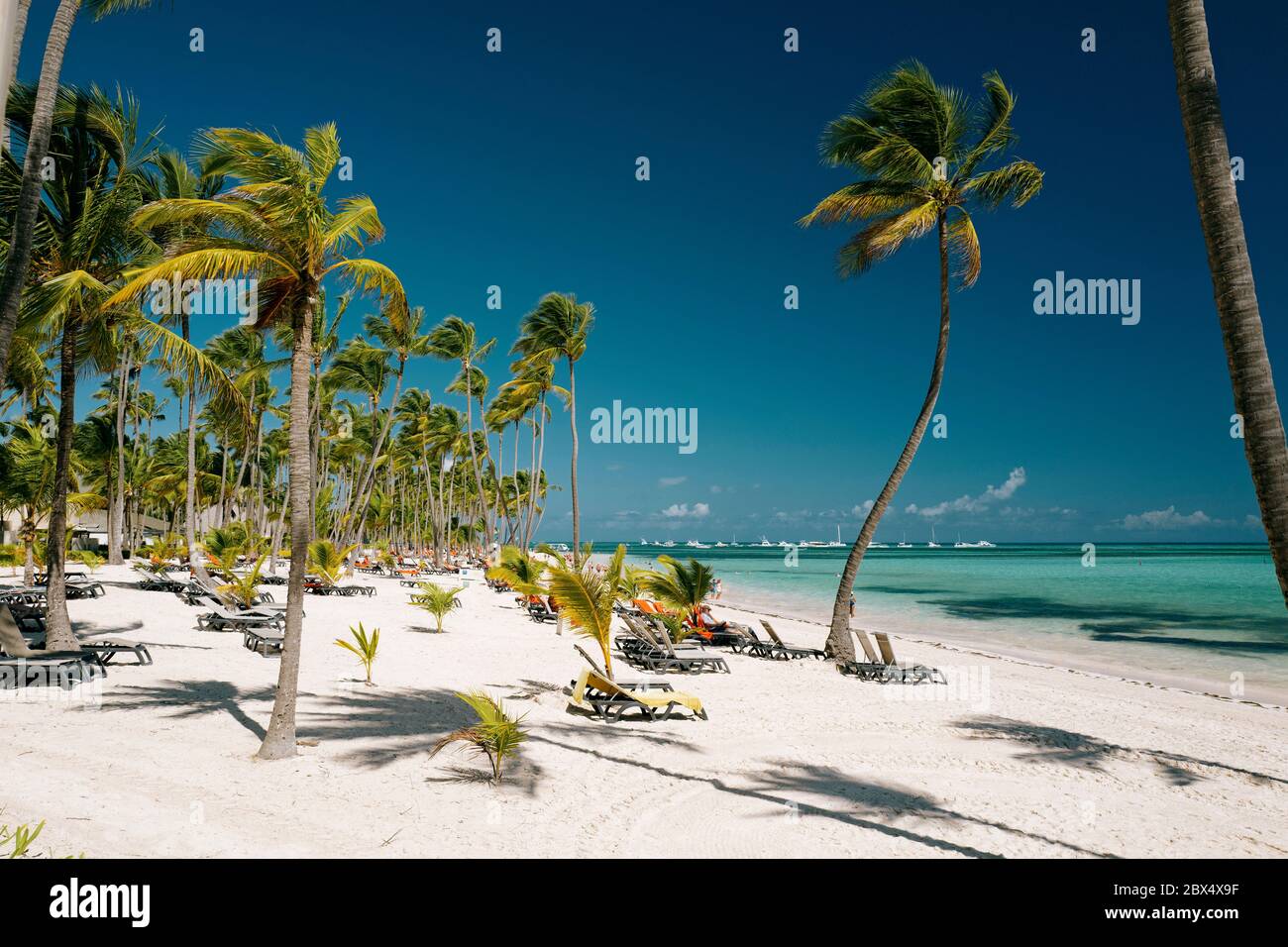Barcelo Bavaro Beach Punta Cana Dominikanische Republik Stockfoto