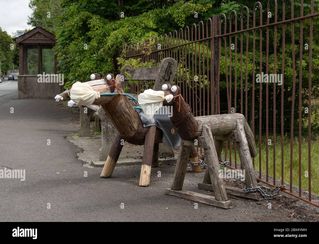 Sedbergh, Cumbria, Großbritannien. Juni 2020. Holzhunde tragen ihre eigene PSA an der Seite der Einfahrt nach Sedbergh, Cumbria, und erinnern Besucher daran, auf dem Coronavirus zu bleiben. Quelle: John Eveson / Alamy Live News Stockfoto